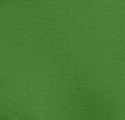 Kiwi Green